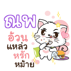 NOP3 Seenuan cat_S
