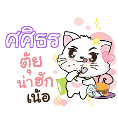 SASITON Seenuan cat_N