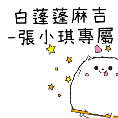 白蓬蓬麻吉貓-專屬張小琪篇