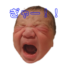 akari_20190629165724