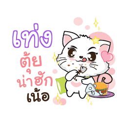 TENG Seenuan cat_N