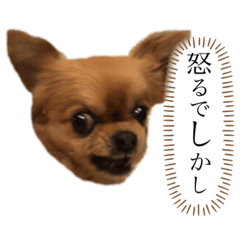 Mizuki_20190628231623