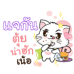 JAKAN Seenuan cat_N