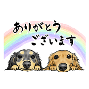 Suiboku Dachshunds