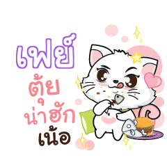 FAY Seenuan cat_N
