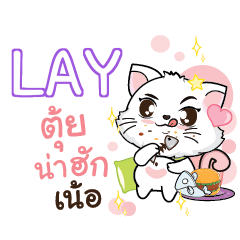 LAY Seenuan cat_N e