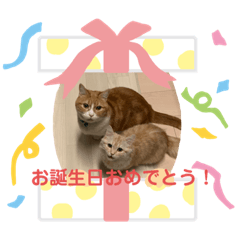Choco Latte_20190629152831