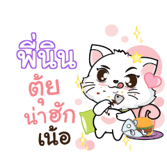 PININ Seenuan cat_N