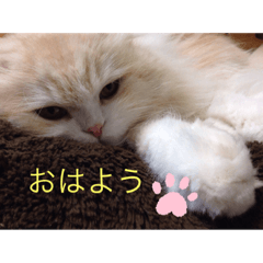 meg_20190629204813