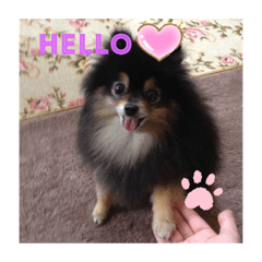 Risa_20190701020937