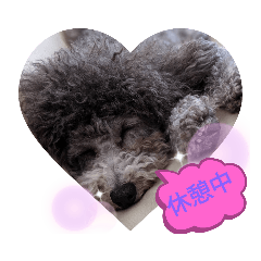 TOMMY_20190629212006