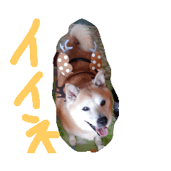 kazue_20190629211746