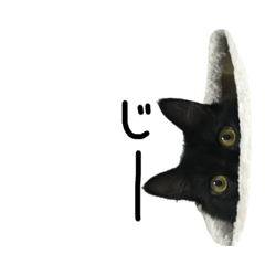 boo_20190629230806