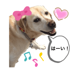 KAZUECHAN