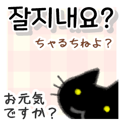 毎日使える韓国語スタンプ かわいい黒猫