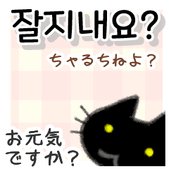 Daily Use Korean Black Cat Sticker