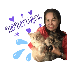 Catcute_20190630174301