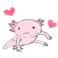 Adorable axolotl. Japanese calligraphy.