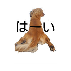 ran_20190629150156