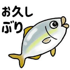 毎日 海の生き物 Line スタンプ Line Store 毎日 海の生き物 Line スタンプ Line Store
