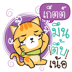 GET4 Sesa cat_N