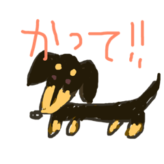 nono_20190630003242