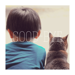 Nozomi_20190630003610