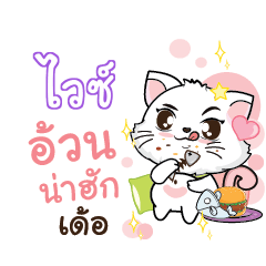 VICE Seenuan cat_E