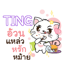TING Seenuan cat_S e