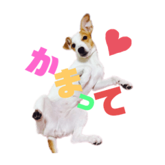 MINAMI_20190630001023