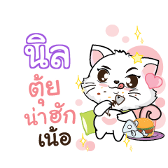 NILL Seenuan cat_N
