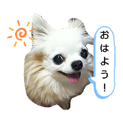 YOSHI_109_20190630022513