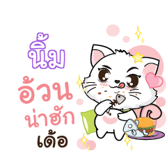 NIMM Seenuan cat_E