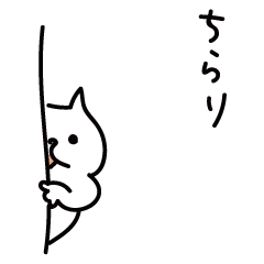 White-Cat (everyday)