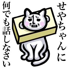 Stray cat!! Seyachan