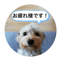 miyabi_20190629232917