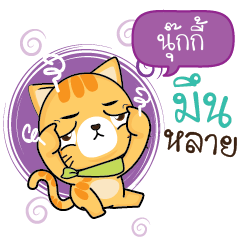 NOOKY Sesa cat_E