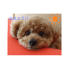 eve_20190630132758