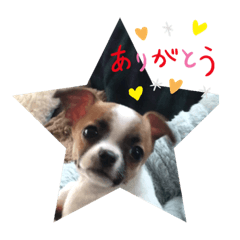 koko_20190630152021
