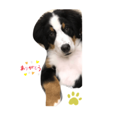 Jack_20190630150540