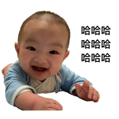 小山豬表情包2
