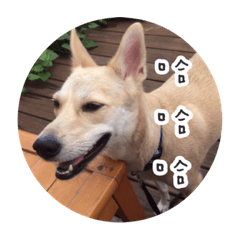 傲嬌小寶貝奶茶part1