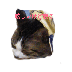 Mimi_20190630202652