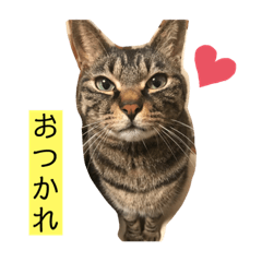 Hinata_20190630202528
