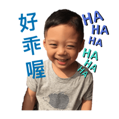 棋揚無比