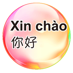 中文國語與越南語 七彩魔幻水晶球 12