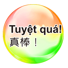 中文國語與越南語 七彩魔幻水晶球 13