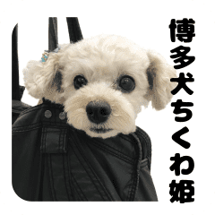 博多犬ちくわ姫 Line スタンプ Line Store