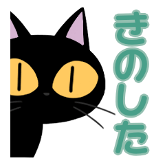 Kinoshita&Black cat