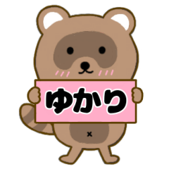 Raccoon3 Yukari